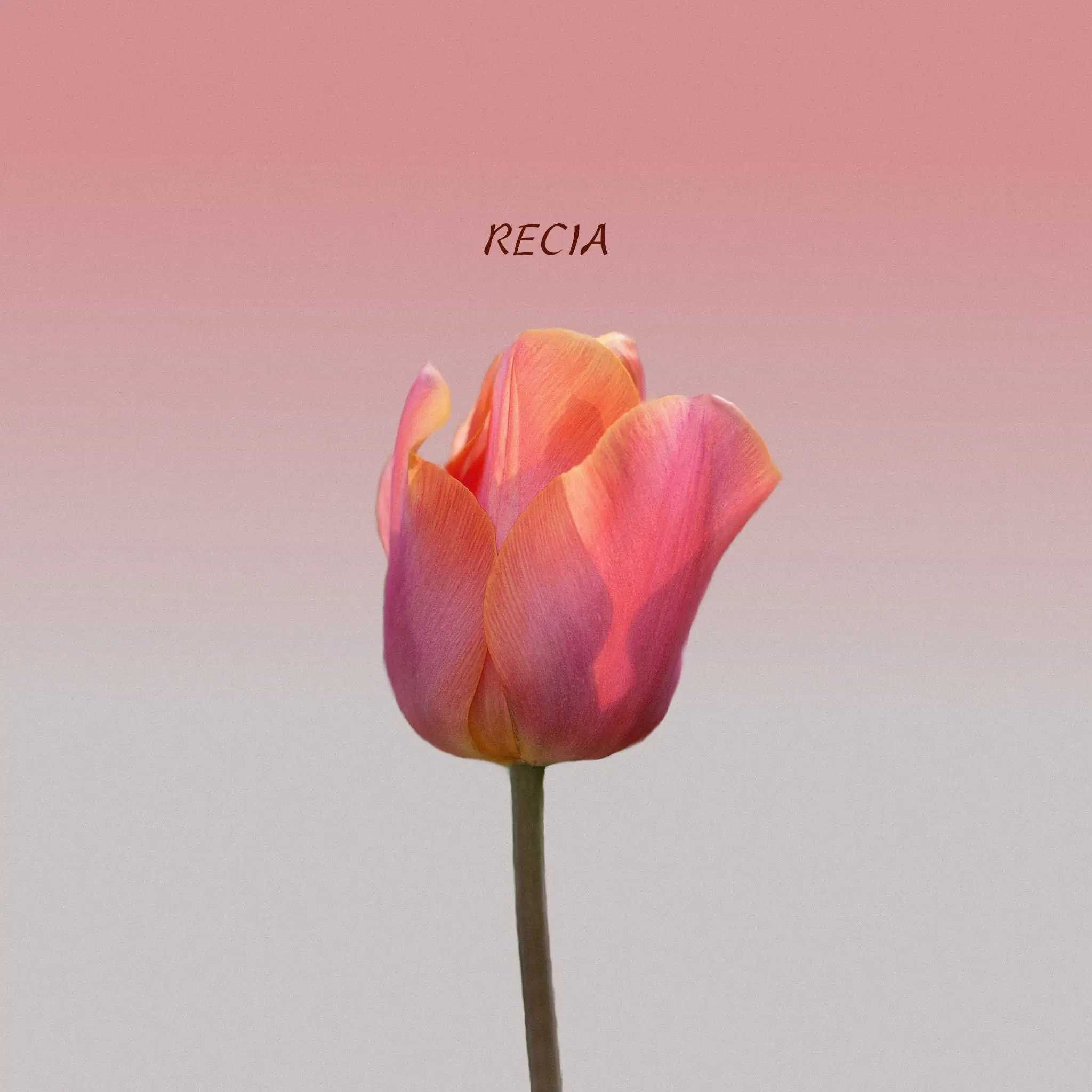 Recia - 날 사랑해줘서 앨범 커버