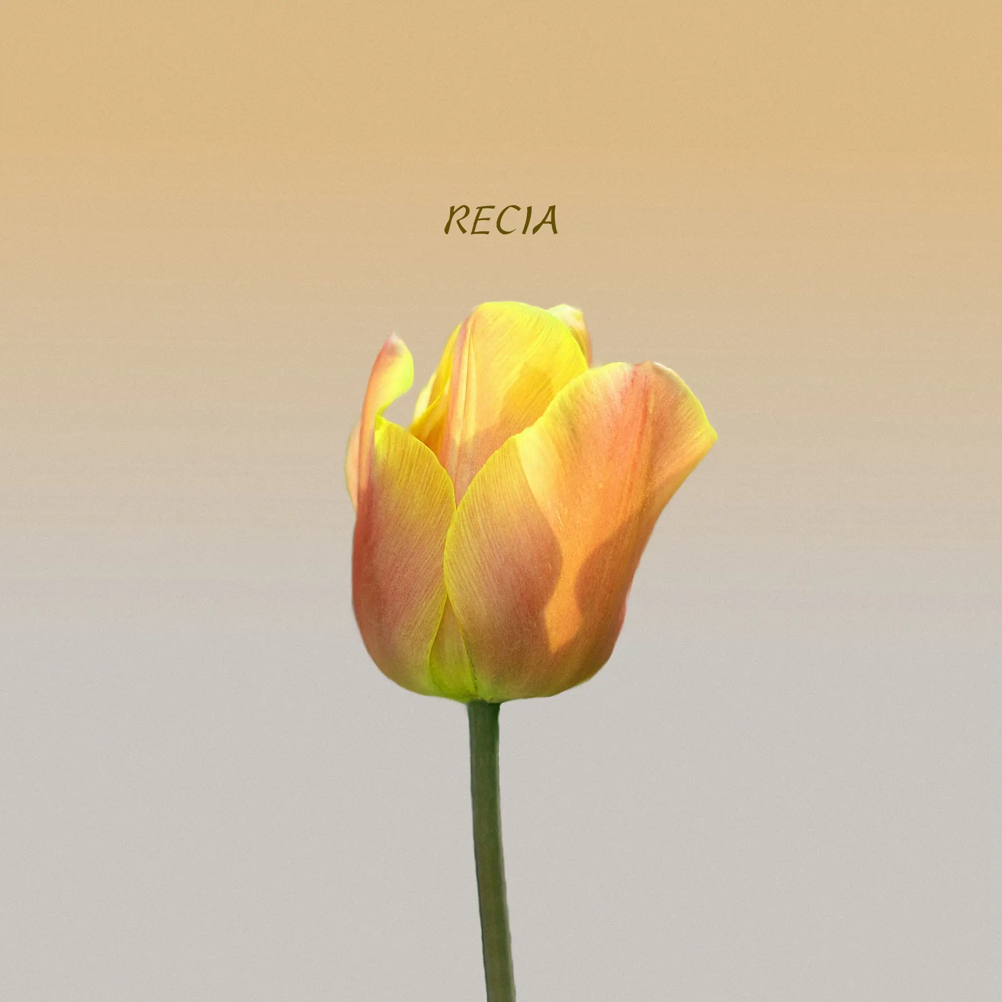 Recia - 널 사랑해 나 보다 더 앨범 커버